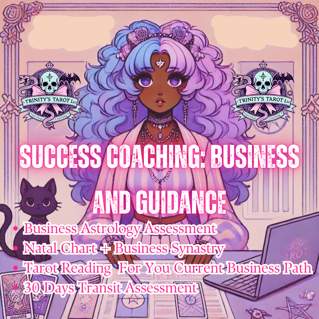 Success Coaching: Business and Guidance