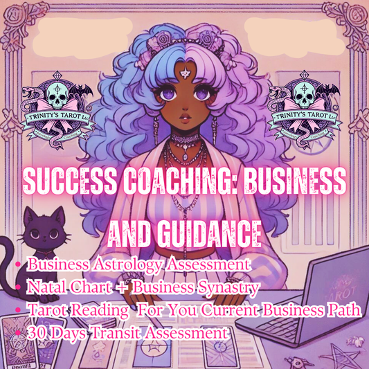 Success Coaching: Business and Guidance